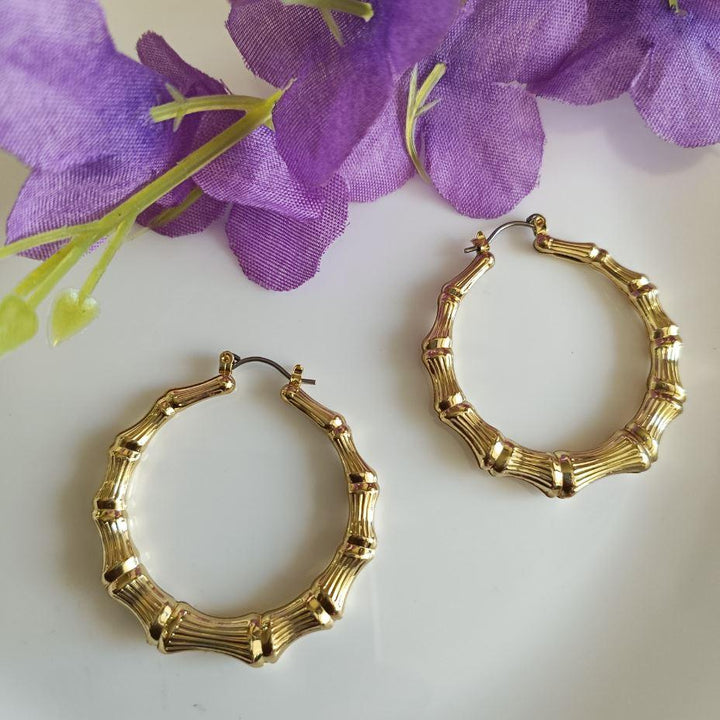 Bamboo Circular Shaped Fashion Hoop Earring-HER 1992 - Trendisia