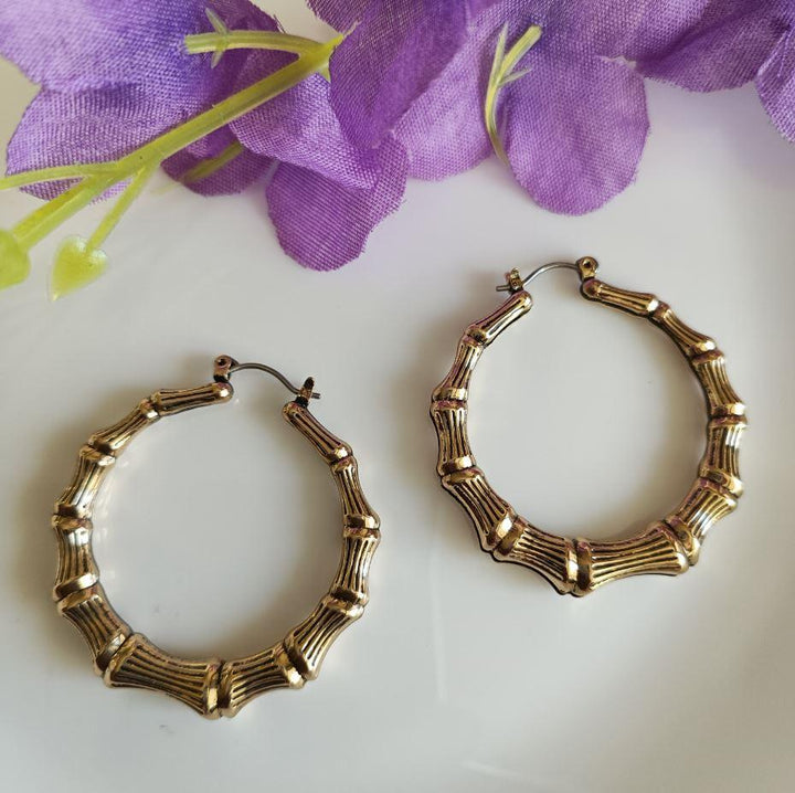 Bamboo Circular Shaped Fashion Hoop Earring-HER 1992 - Trendisia