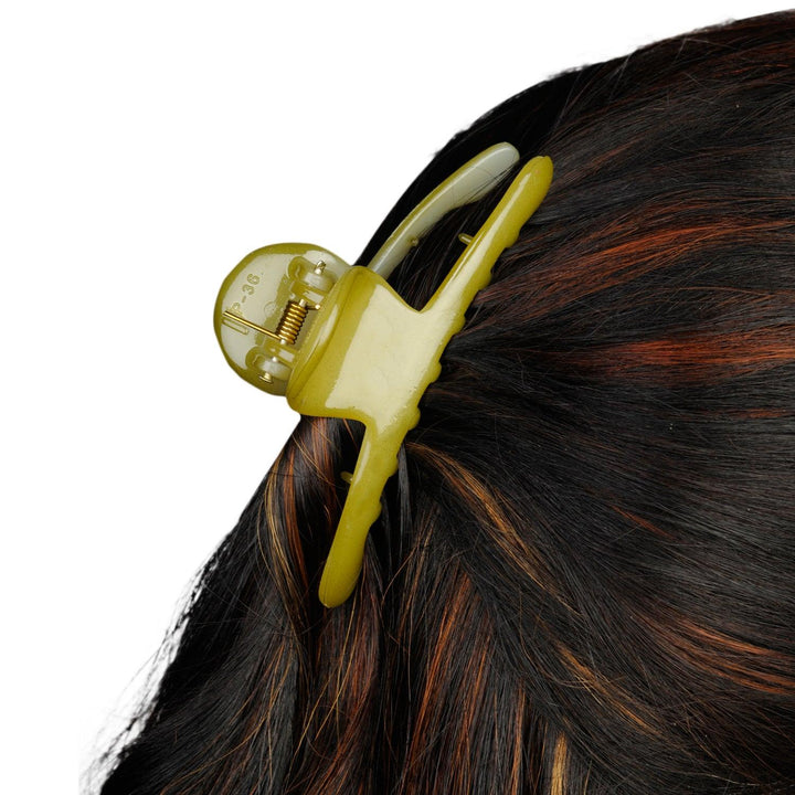 Pack Of 3 Assorted Acrylic Claw Clip - Trendisia