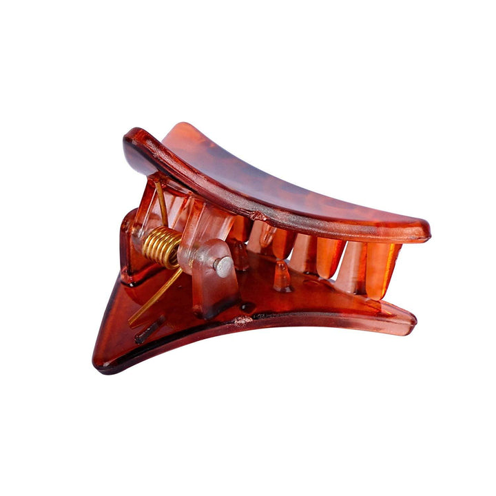 Pack Of 6 Acrylic Hair Clip - Trendisia