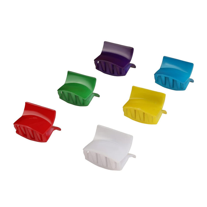 Set of 6 Acrylic Hair Clip - Trendisia