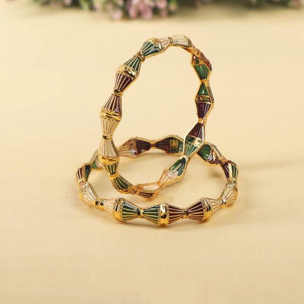 Traditional Multicolor Meenakari Kada 2 Pcs - Trendisia