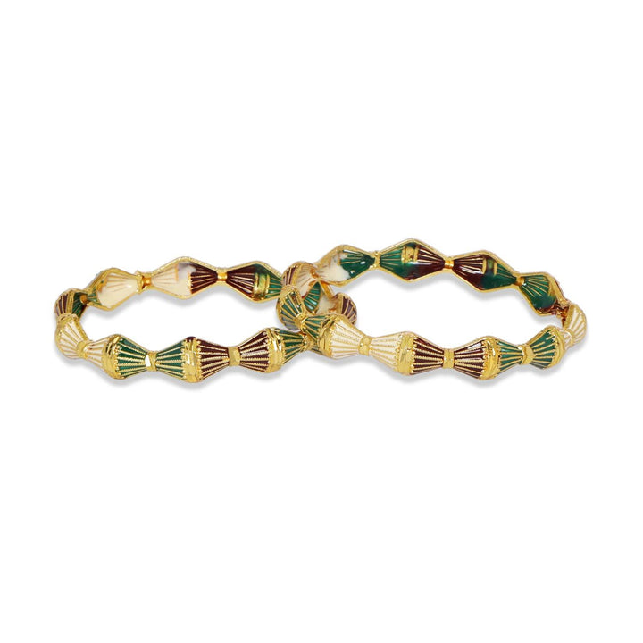 Traditional Multicolor Meenakari Kada 2 Pcs - Trendisia