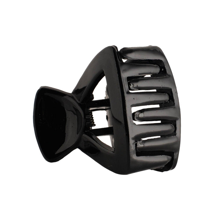 Women Black Pack Of 6 Acrylic Hair Clip - Trendisia