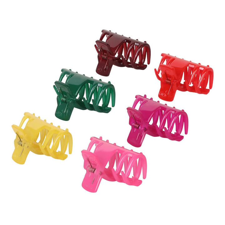Women Multi Color Set Of 6 Claw Hair Clips - Trendisia